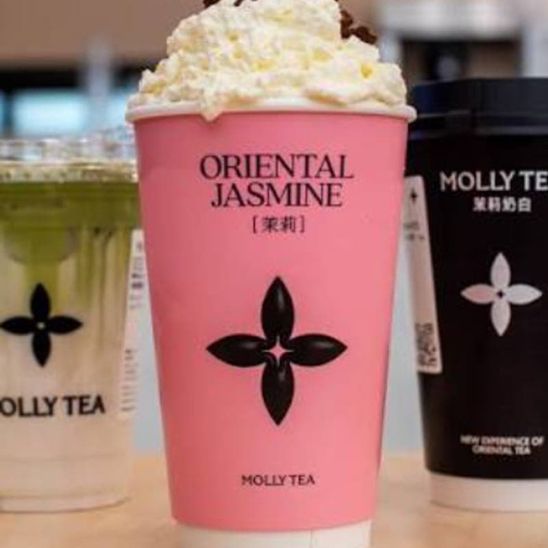 Hot milk tea with boba and snowy whipped topping at Molly Tea — Doraville